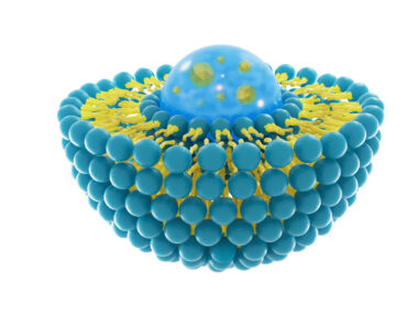 extracellular vesicles