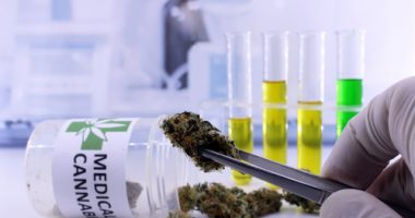 cannabis oil and seizures
