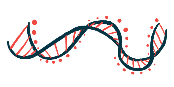 A ribbon model of DNA highlights its double-helix shape.